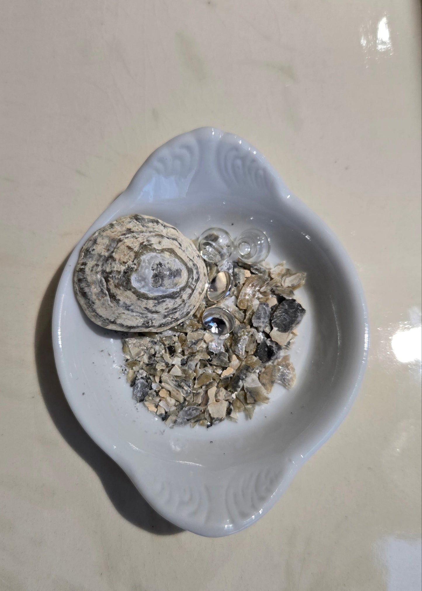 Voilier & "Patelle"