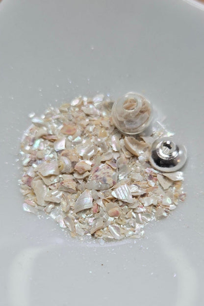 Crabe & Océan