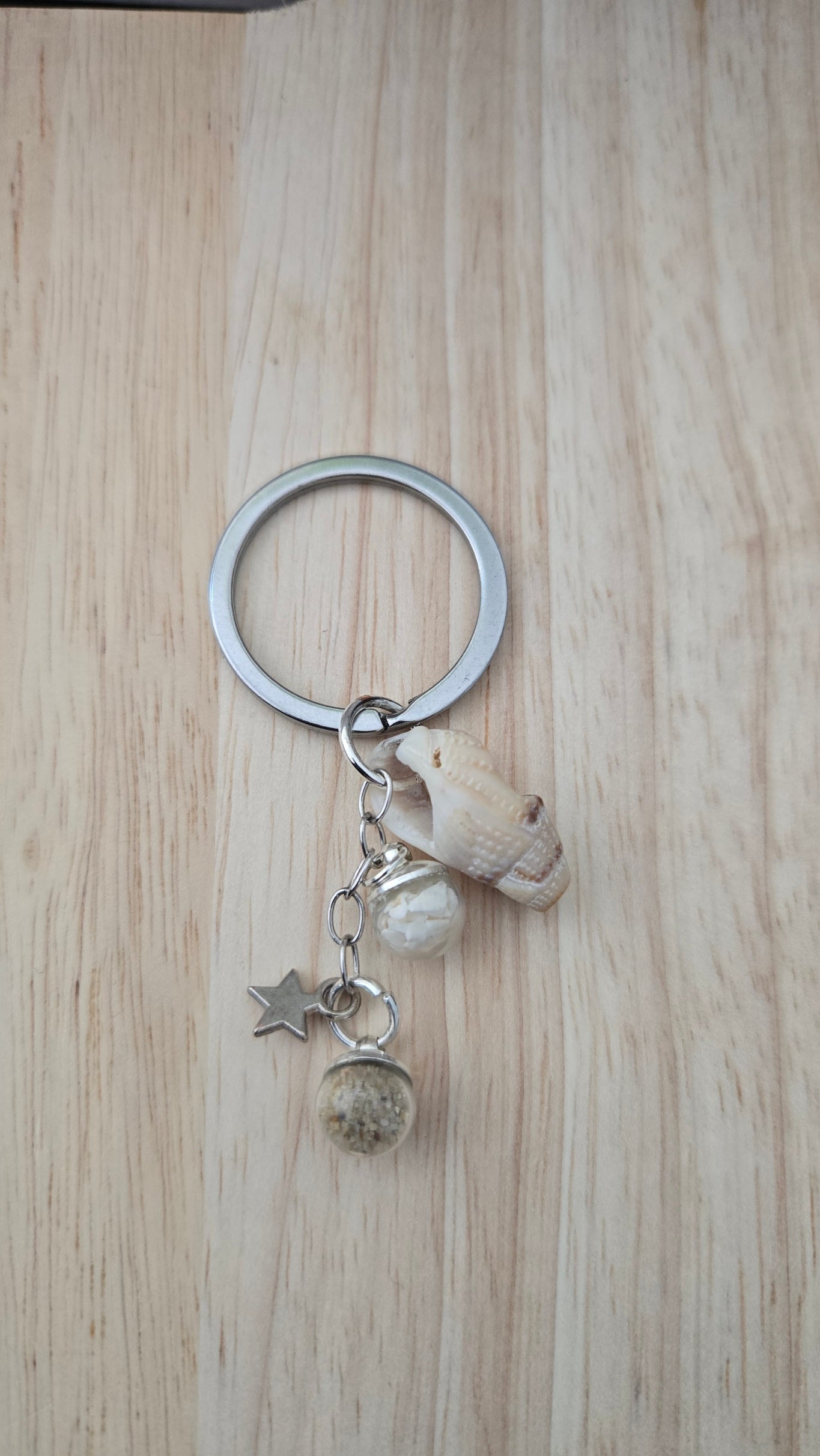 Etoile & Coquillage