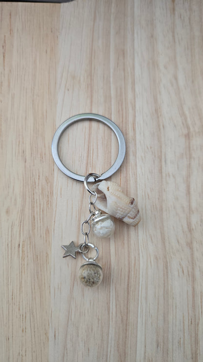 Etoile & Coquillage