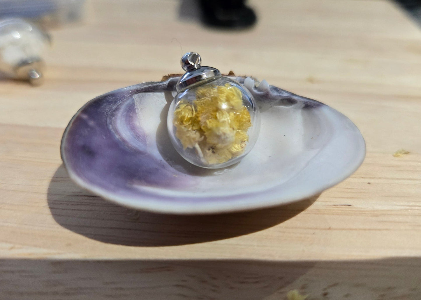 Immortelle "Jaune"