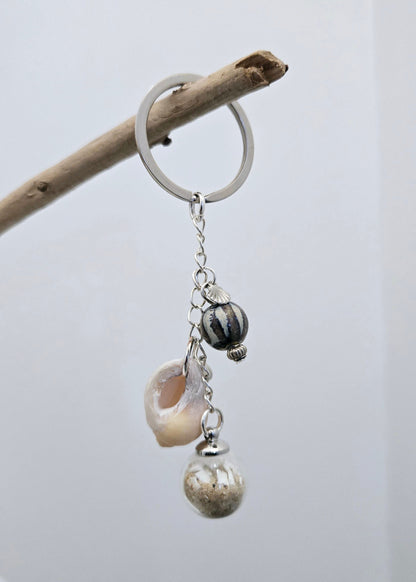 Coquillage et "Sable"