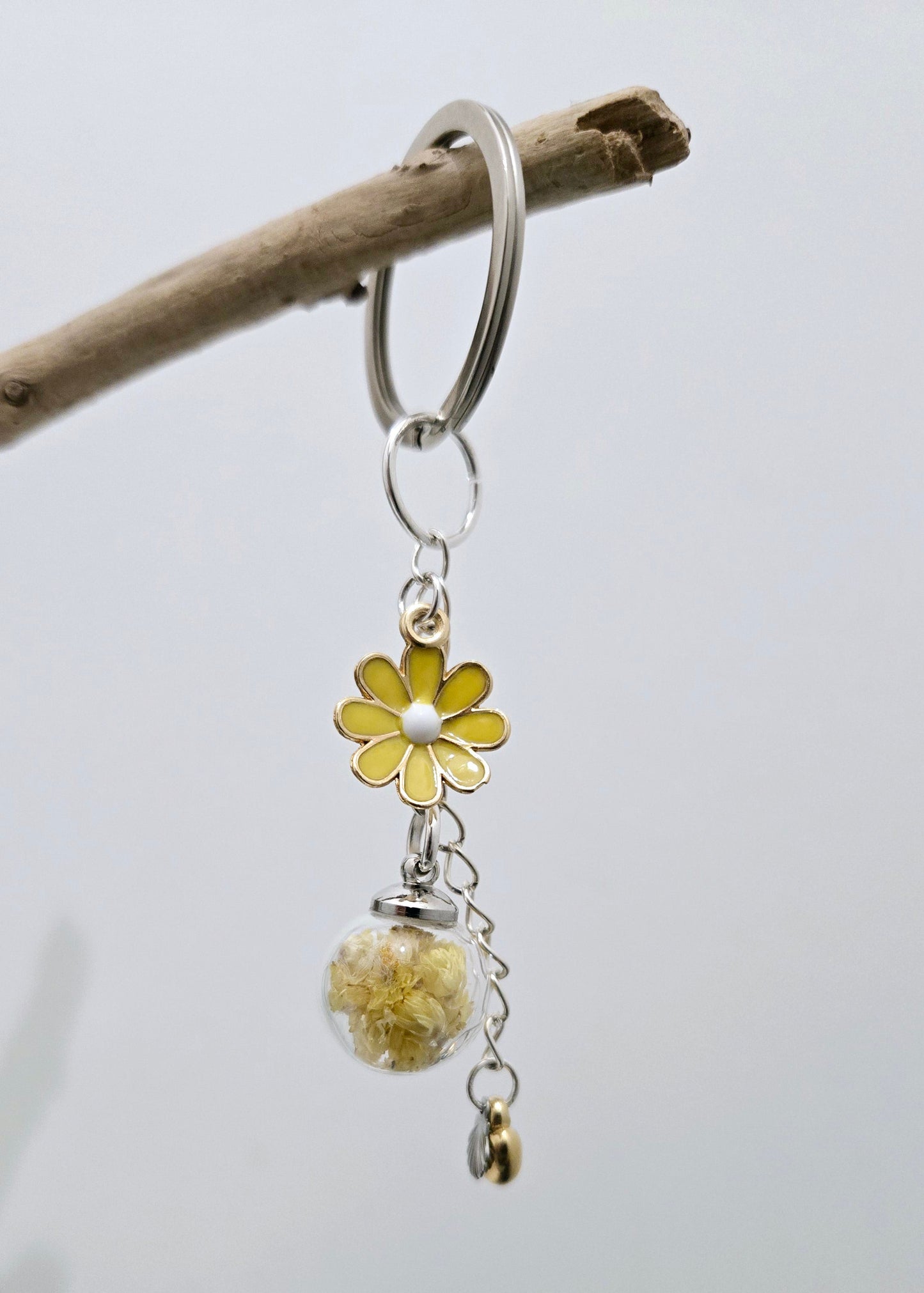 Immortelle "Jaune"