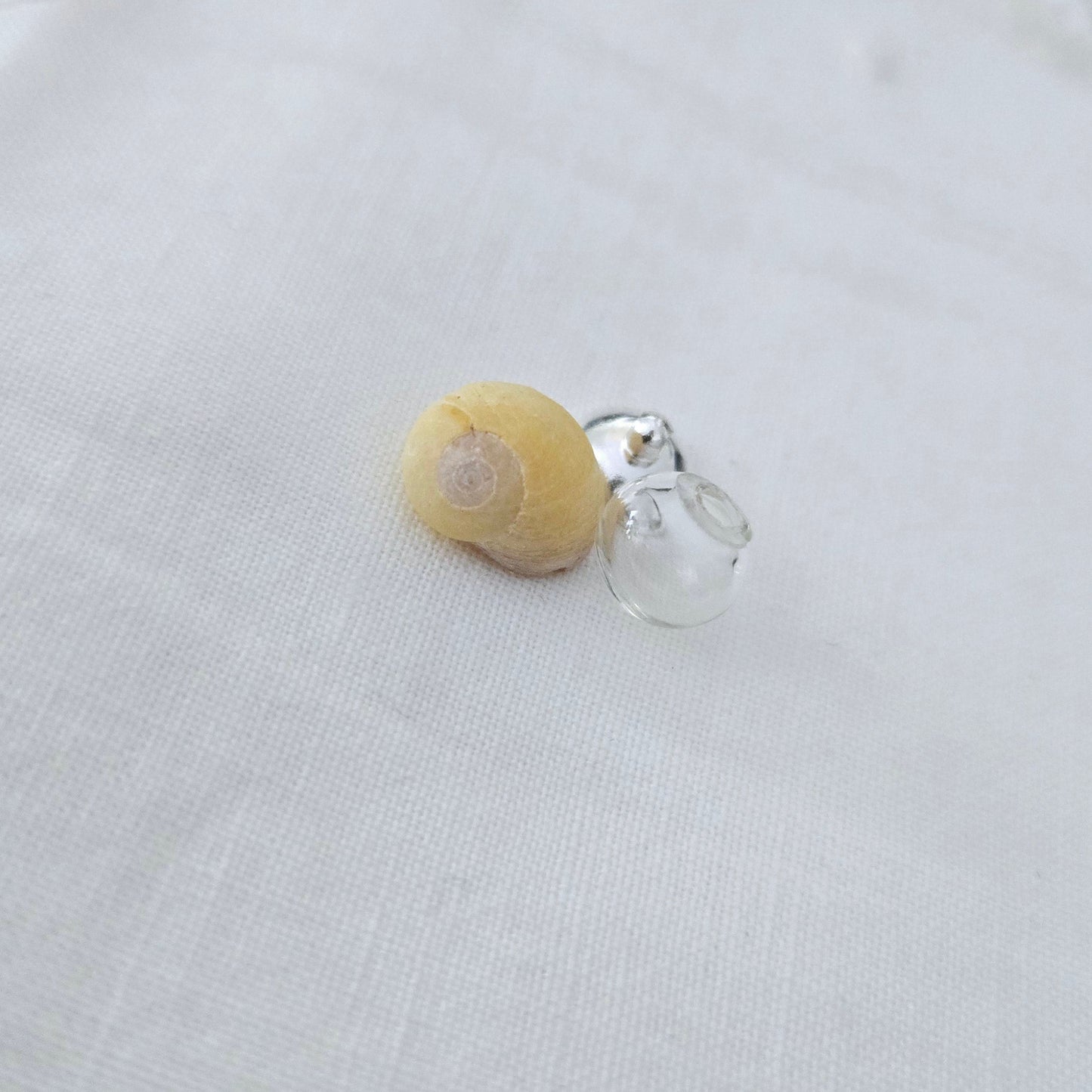 "Coquillages" Cœur