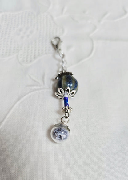 Coquillage bleu