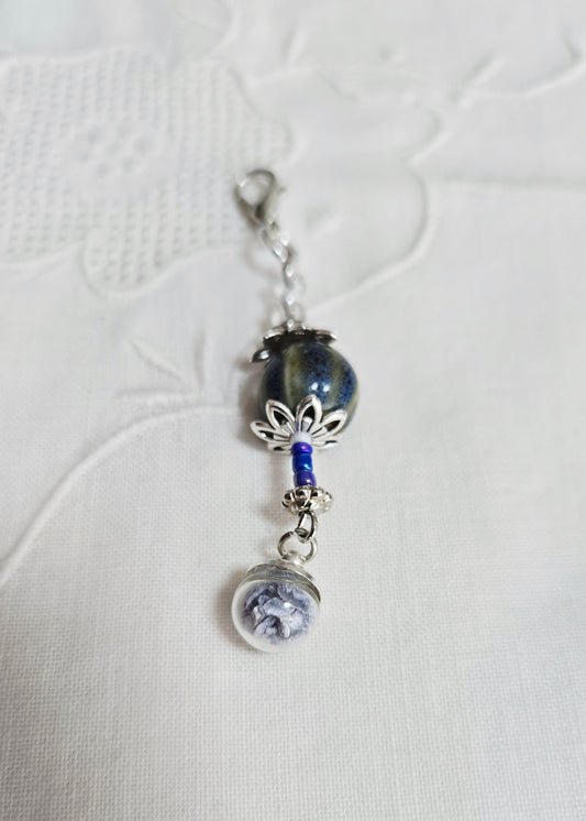 Coquillage bleu