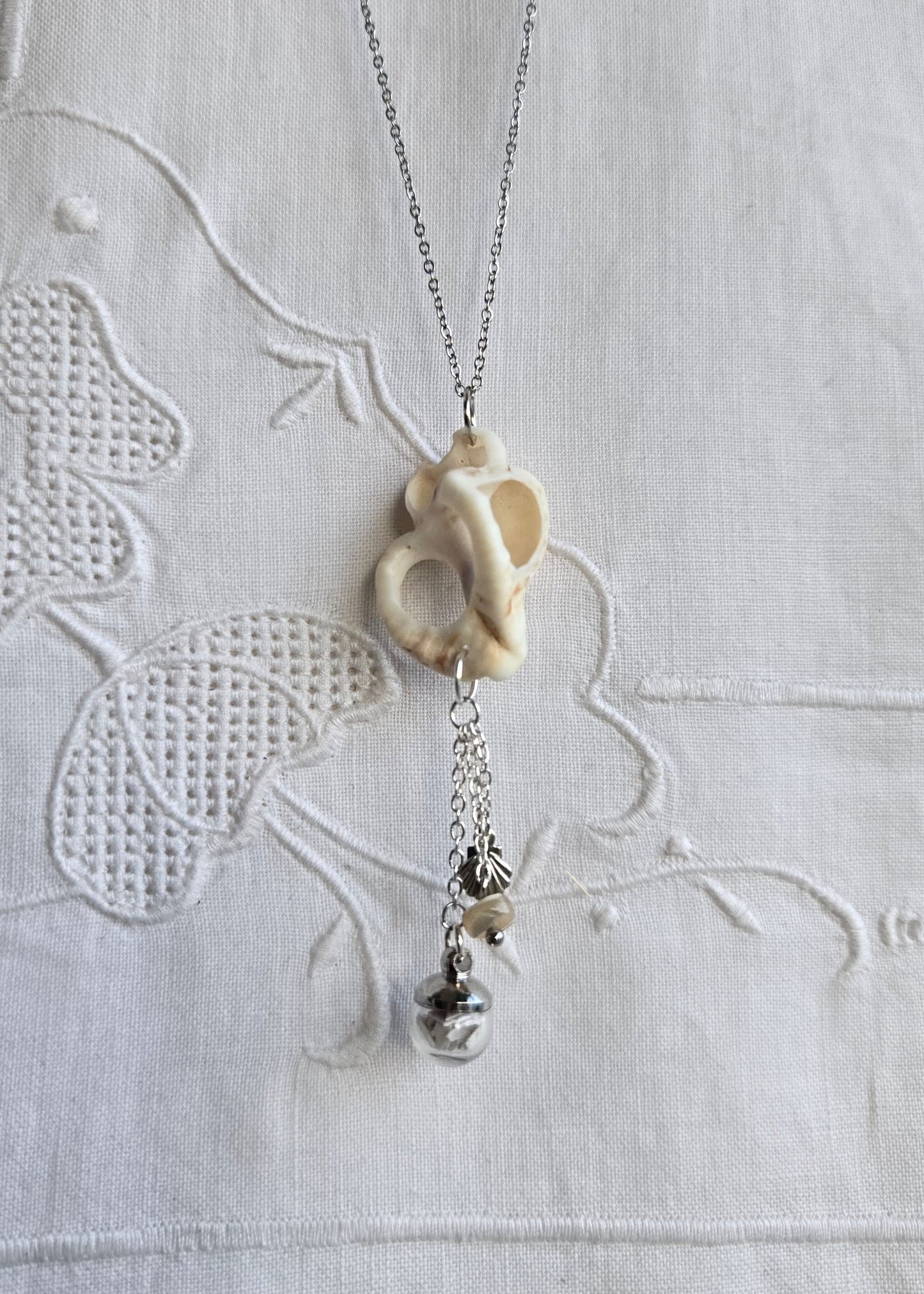 Coquillages
