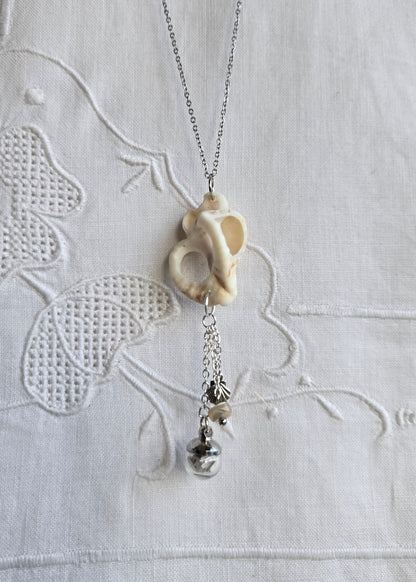 Coquillages