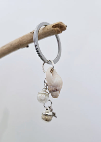 Etoile & Coquillage