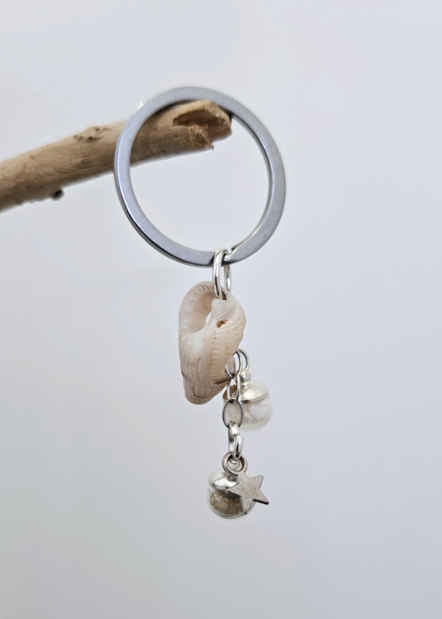 Etoile & Coquillage