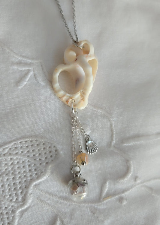 Coquillages