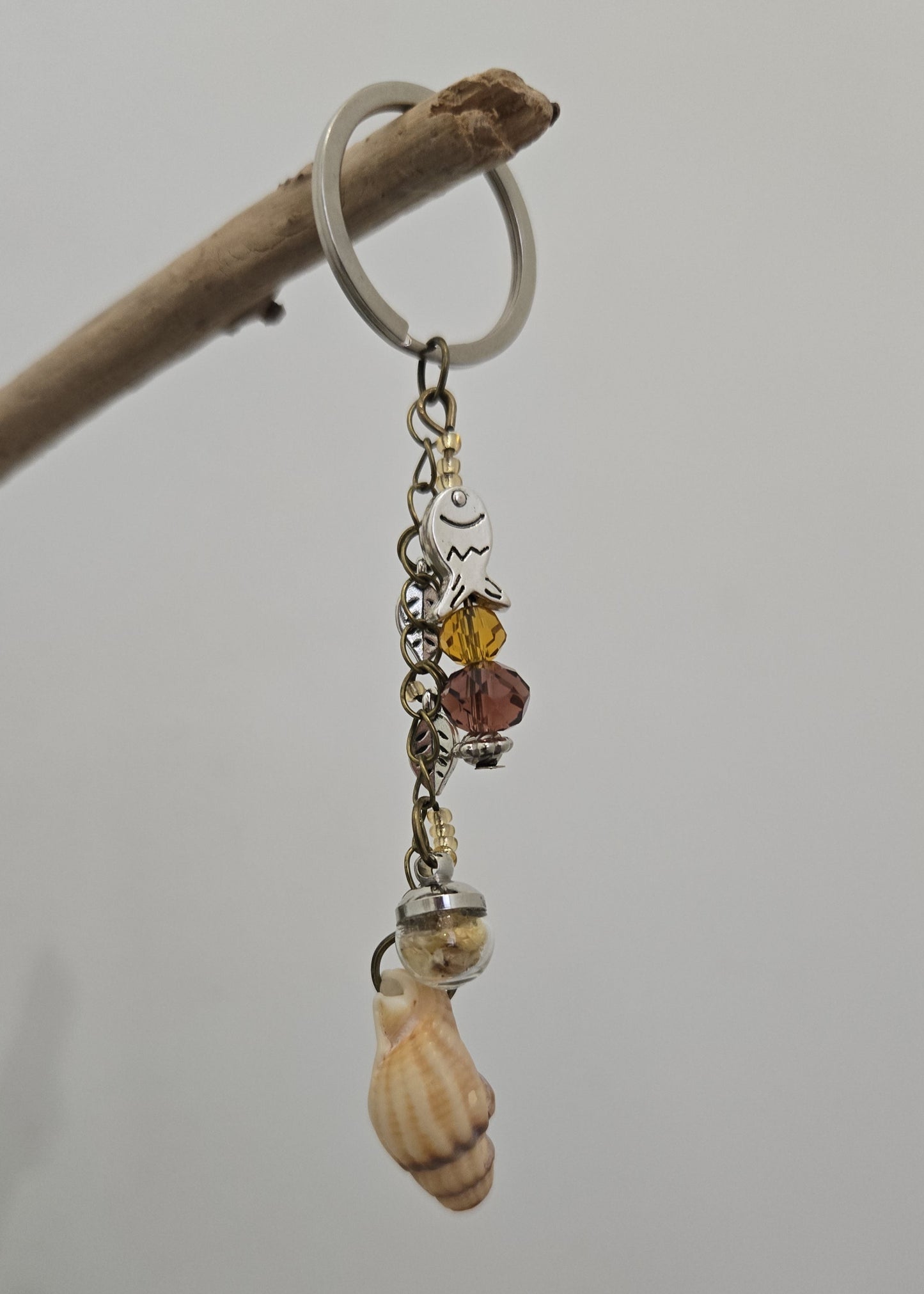 Coquillage & Sable