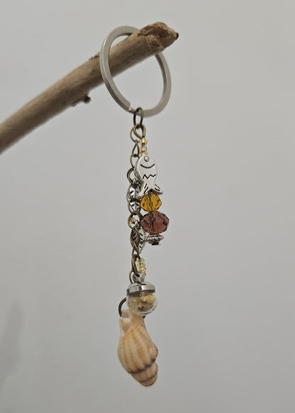 Coquillage & Sable