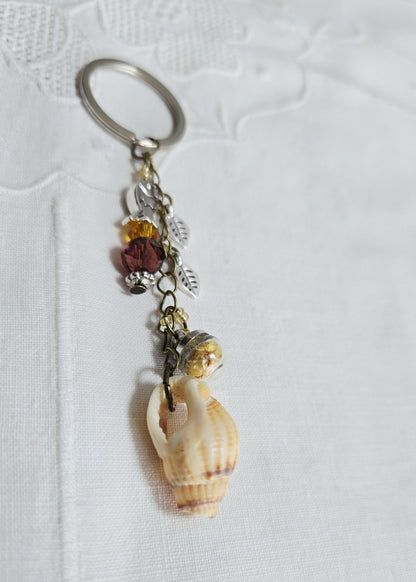Coquillage & Sable