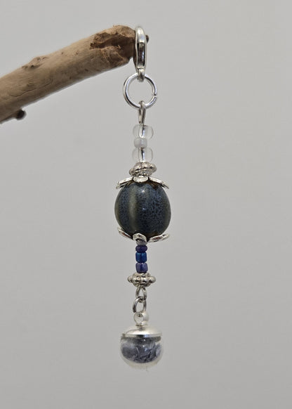 Coquillage bleu