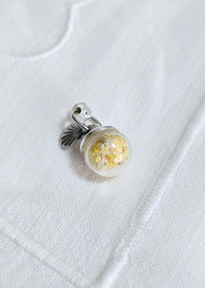 "Immortelle" St Jacques