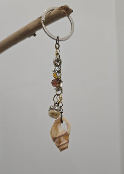 Coquillage & Sable