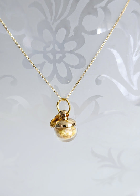 "Immortelle" dorée